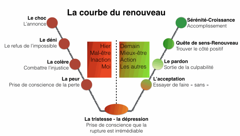 La courbe du renouveau Les phases psychologiques du licenciement